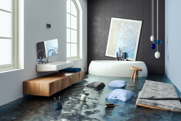 Best Flood restoration services  in Minneapolis, KS