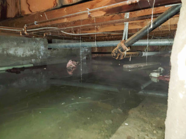 Best Professional water damage repair  in Minneapolis, KS
