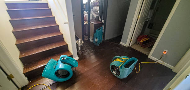 Best 24/7 water damage repair  in Minneapolis, KS