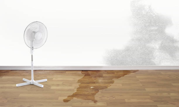 Best Water damage restoration near me  in Minneapolis, KS