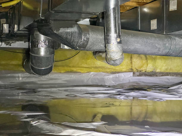 Best Carpet water damage restoration  in Minneapolis, KS