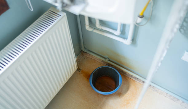 Best Flood damage cleanup  in Minneapolis, KS
