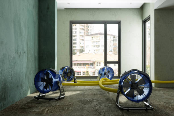 Best Fire Damage Restoration  in Minneapolis, KS